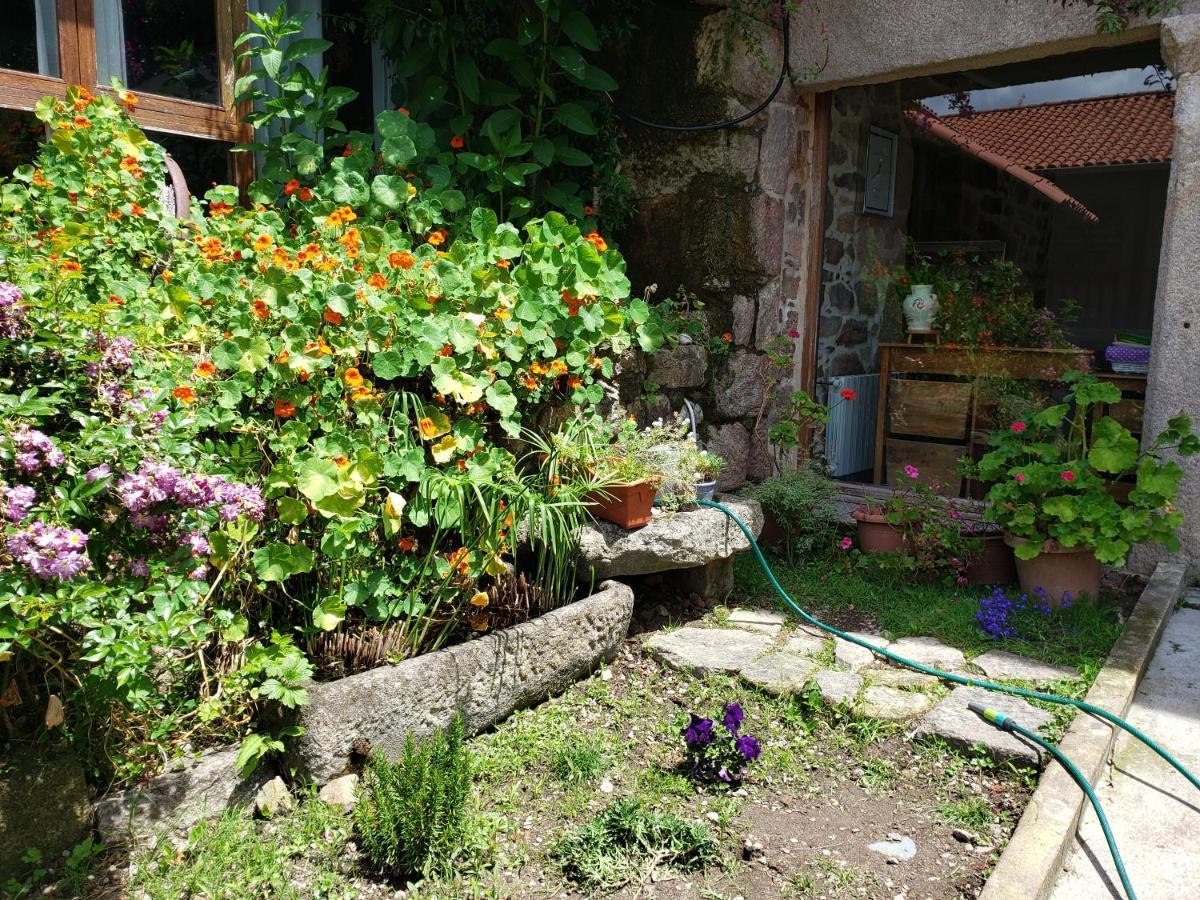 Casa Rural Do Fontan Pensionat Pontevedra Eksteriør billede